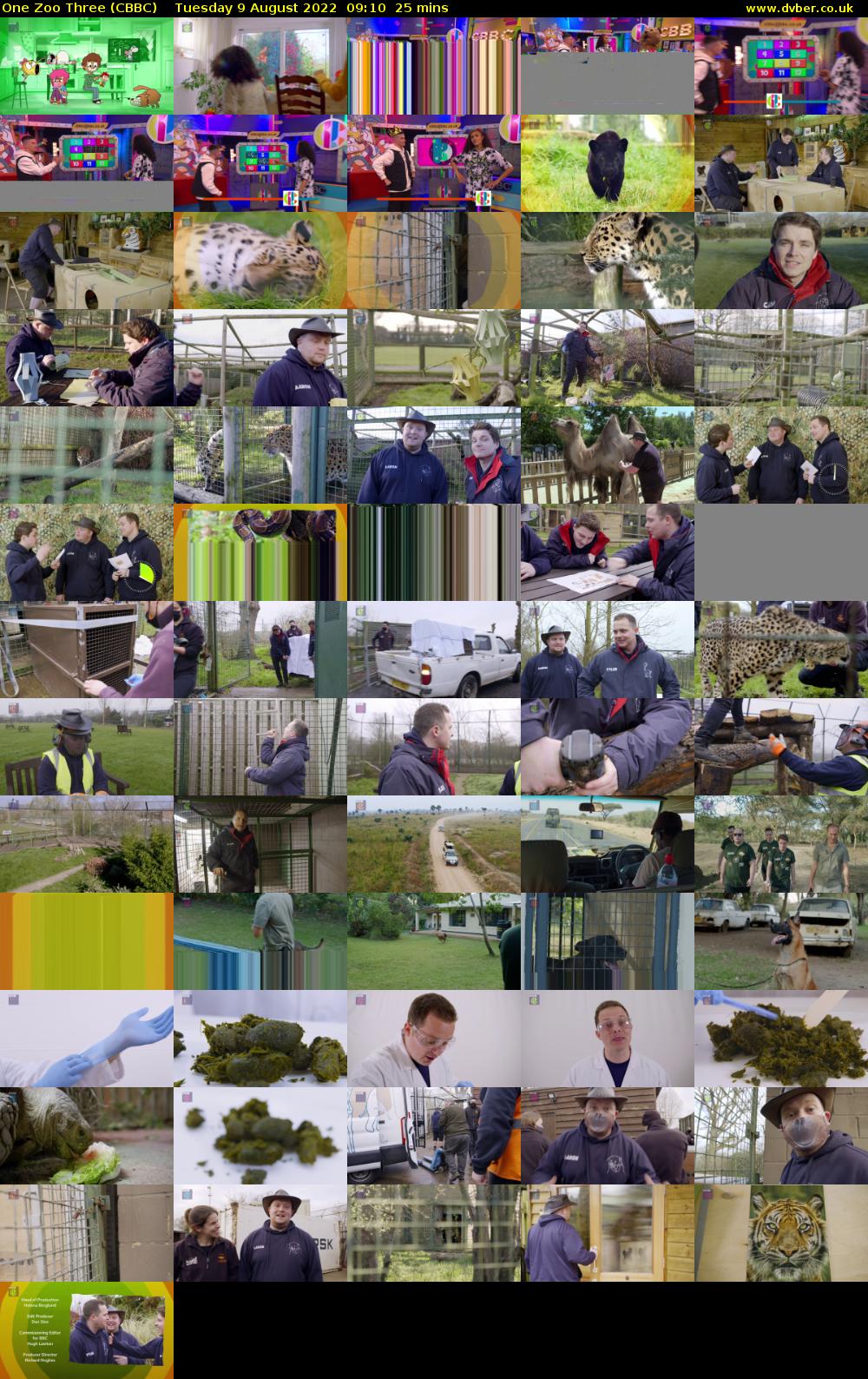 One Zoo Three (CBBC) Tuesday 9 August 2022 09:10 - 09:35