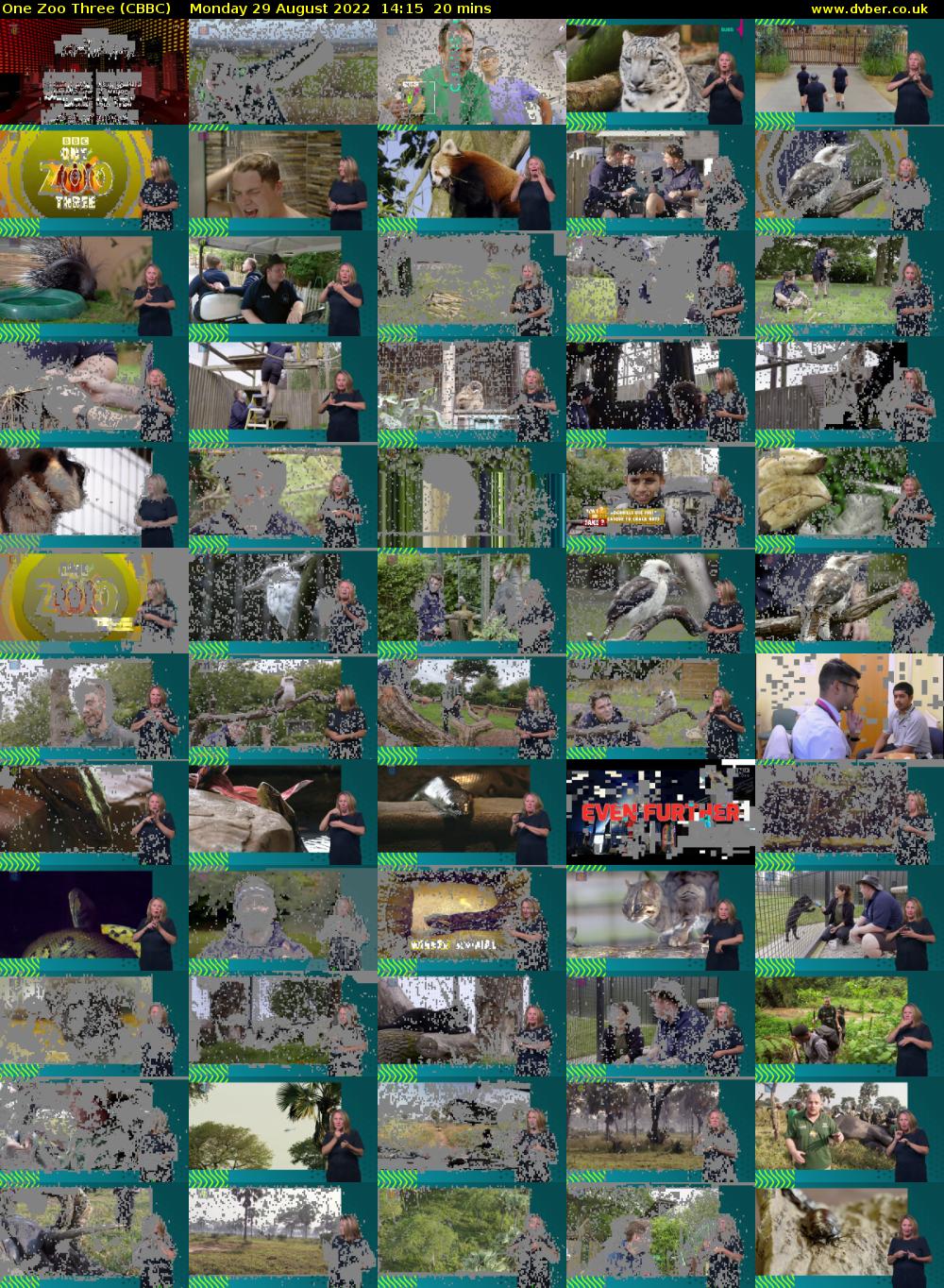 One Zoo Three (CBBC) Monday 29 August 2022 14:15 - 14:35