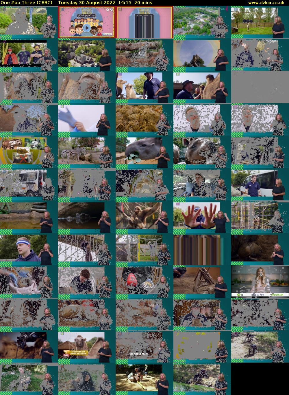 One Zoo Three (CBBC) Tuesday 30 August 2022 14:15 - 14:35