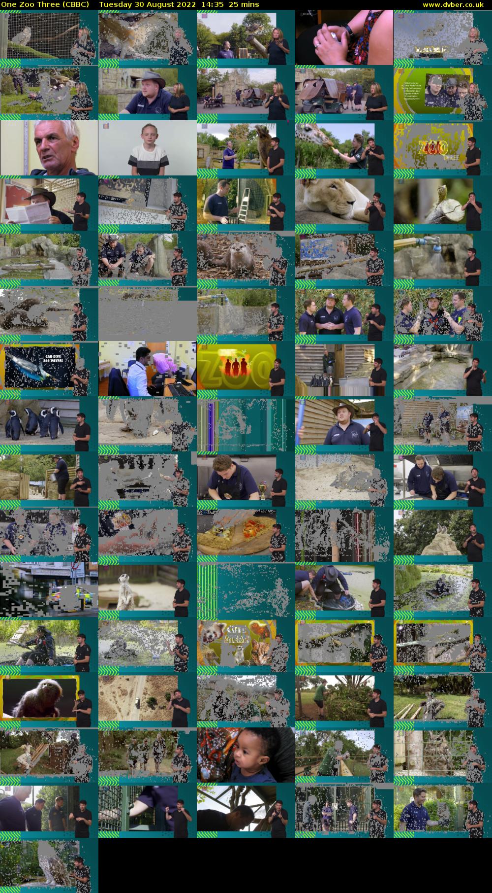 One Zoo Three (CBBC) Tuesday 30 August 2022 14:35 - 15:00