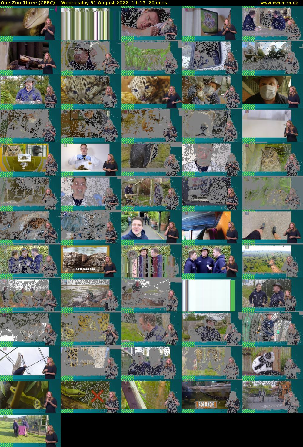One Zoo Three (CBBC) Wednesday 31 August 2022 14:15 - 14:35