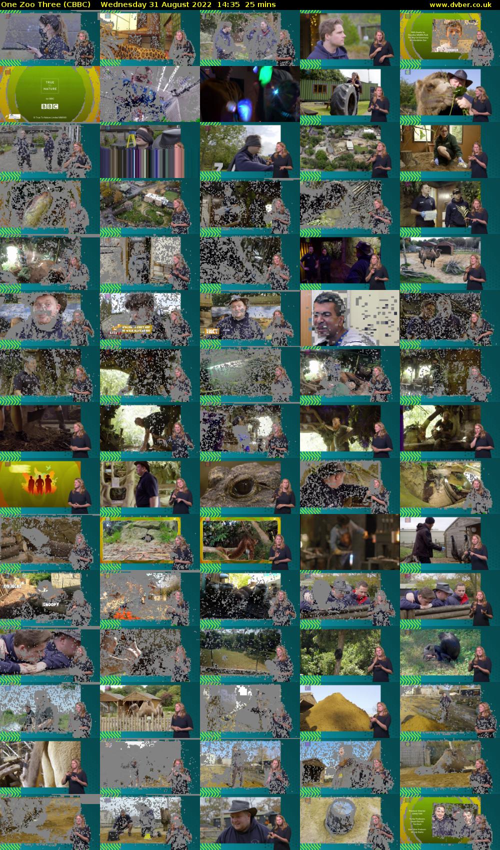 One Zoo Three (CBBC) Wednesday 31 August 2022 14:35 - 15:00