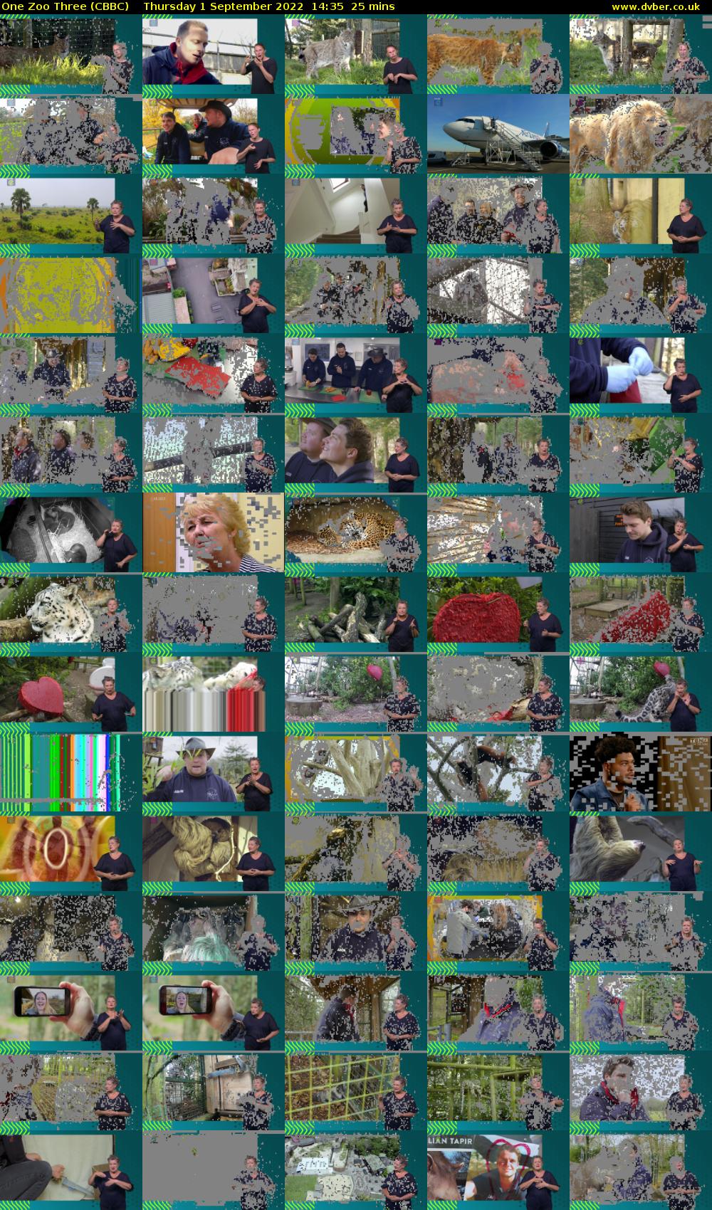 One Zoo Three (CBBC) Thursday 1 September 2022 14:35 - 15:00