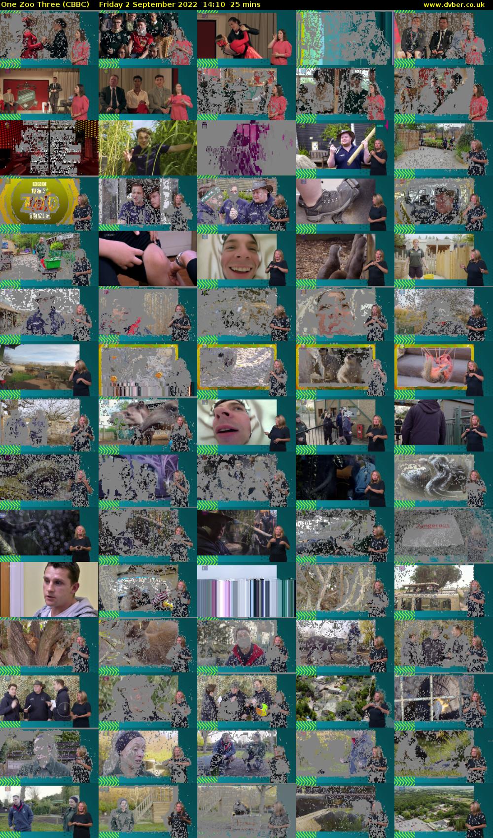 One Zoo Three (CBBC) Friday 2 September 2022 14:10 - 14:35