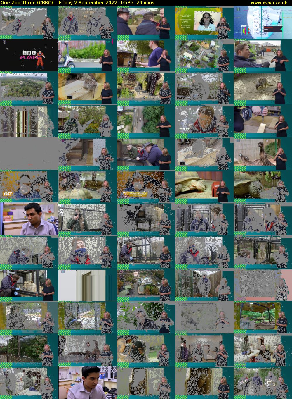 One Zoo Three (CBBC) Friday 2 September 2022 14:35 - 14:55