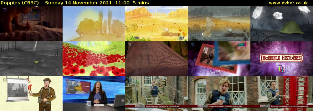 Poppies (CBBC) Sunday 14 November 2021 11:00 - 11:05