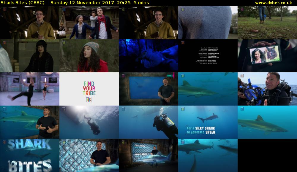 Shark Bites (CBBC) Sunday 12 November 2017 20:25 - 20:30