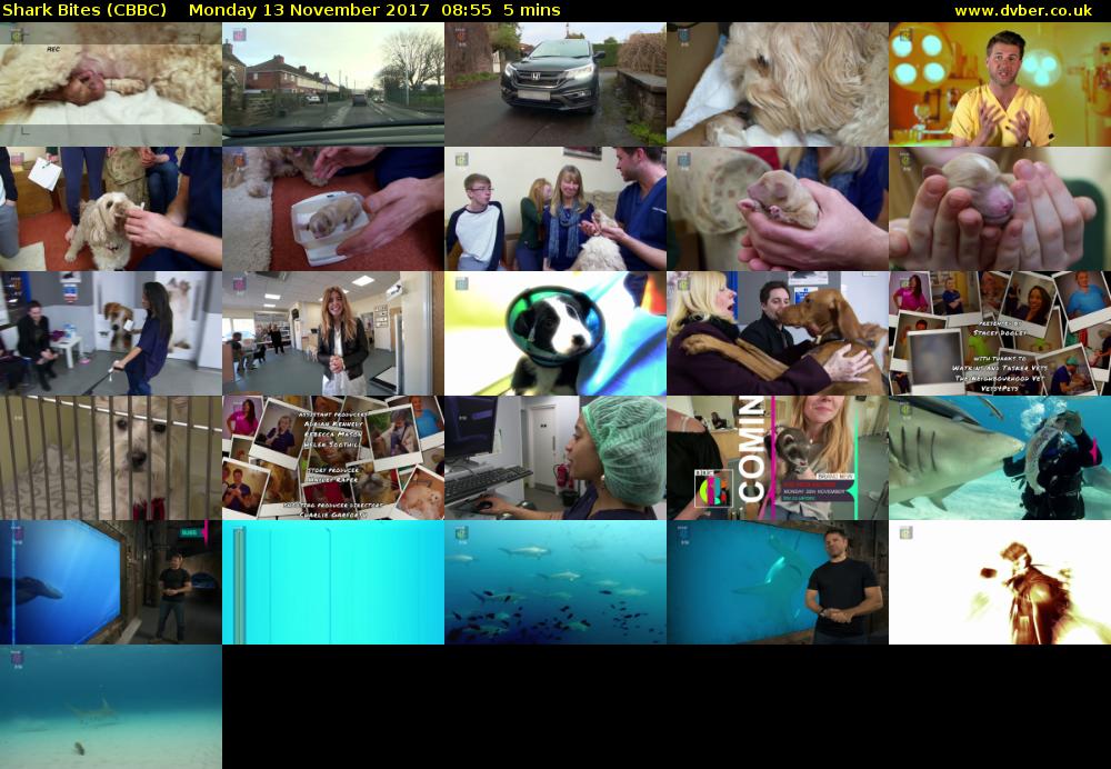 Shark Bites (CBBC) Monday 13 November 2017 08:55 - 09:00