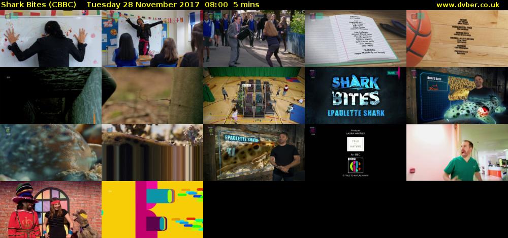 Shark Bites (CBBC) Tuesday 28 November 2017 08:00 - 08:05