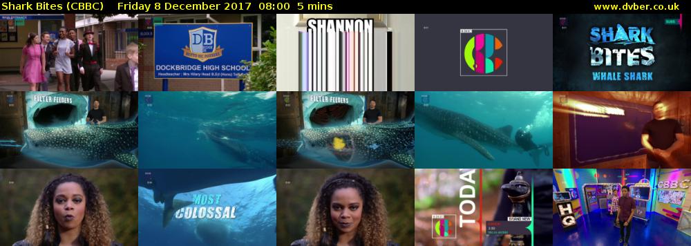 Shark Bites (CBBC) Friday 8 December 2017 08:00 - 08:05