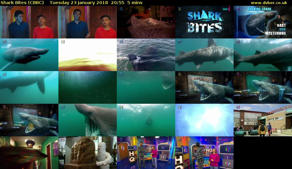 Shark Bites (CBBC) Tuesday 23 January 2018 20:55 - 21:00