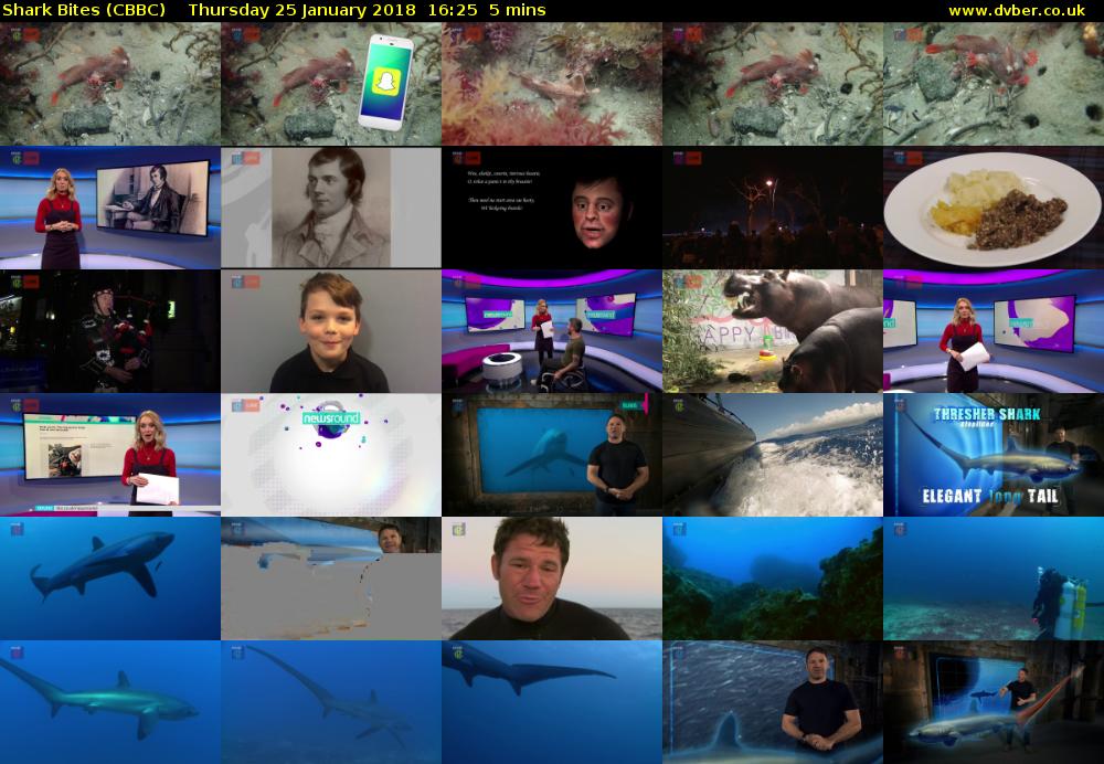 Shark Bites (CBBC) Thursday 25 January 2018 16:25 - 16:30