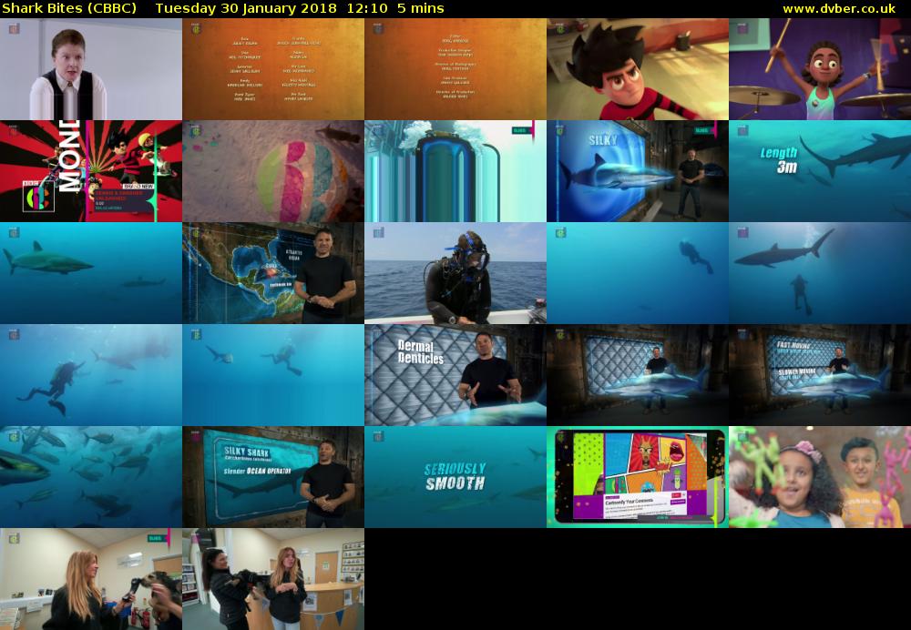 Shark Bites (CBBC) Tuesday 30 January 2018 12:10 - 12:15