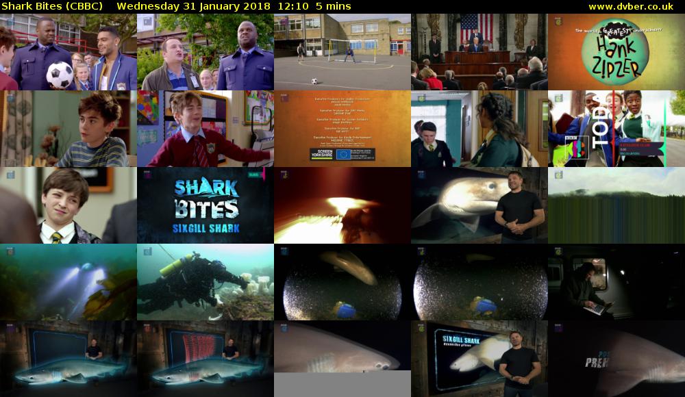 Shark Bites (CBBC) Wednesday 31 January 2018 12:10 - 12:15