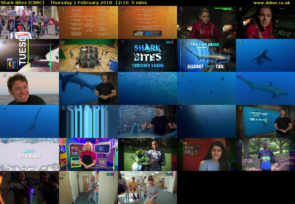 Shark Bites (CBBC) Thursday 1 February 2018 12:10 - 12:15