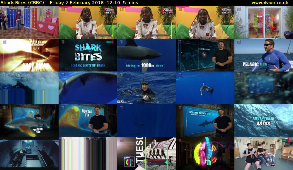 Shark Bites (CBBC) Friday 2 February 2018 12:10 - 12:15