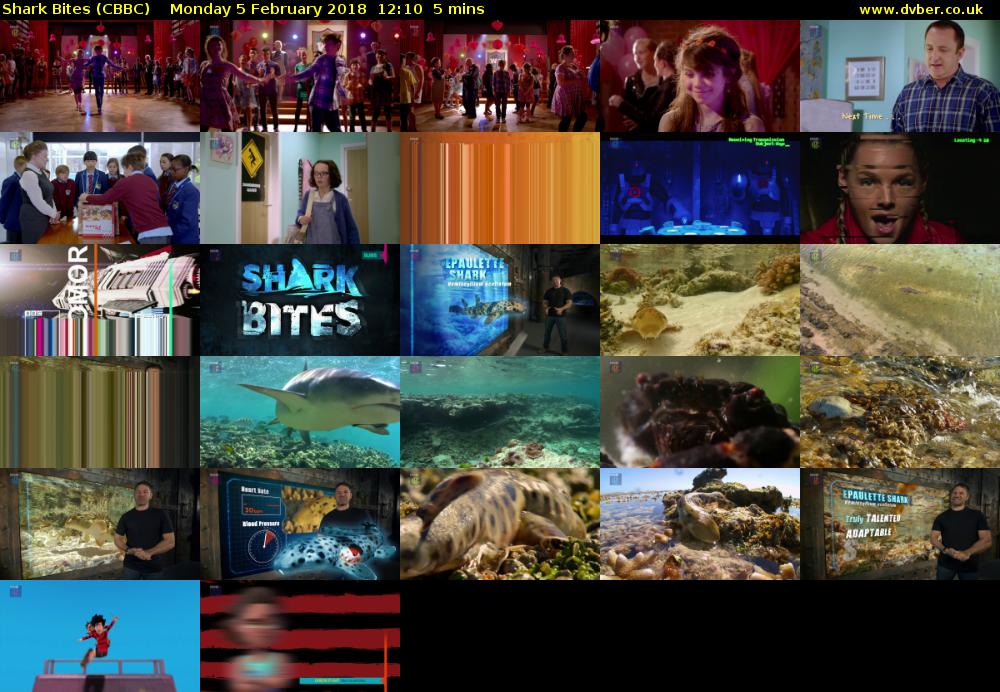 Shark Bites (CBBC) Monday 5 February 2018 12:10 - 12:15
