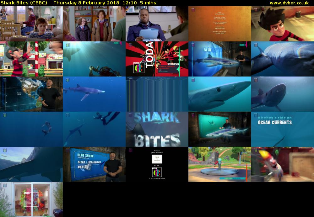 Shark Bites (CBBC) Thursday 8 February 2018 12:10 - 12:15
