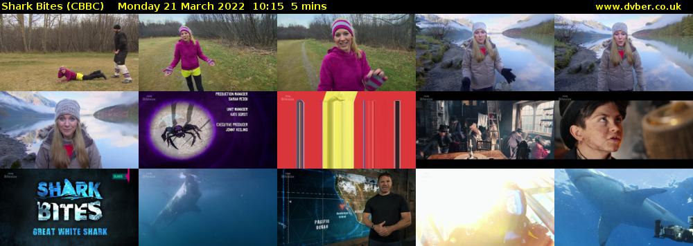 Shark Bites (CBBC) Monday 21 March 2022 10:15 - 10:20
