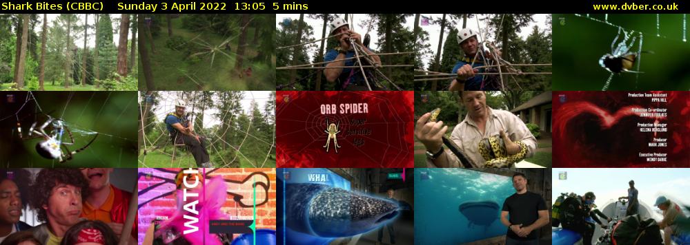Shark Bites (CBBC) Sunday 3 April 2022 13:05 - 13:10