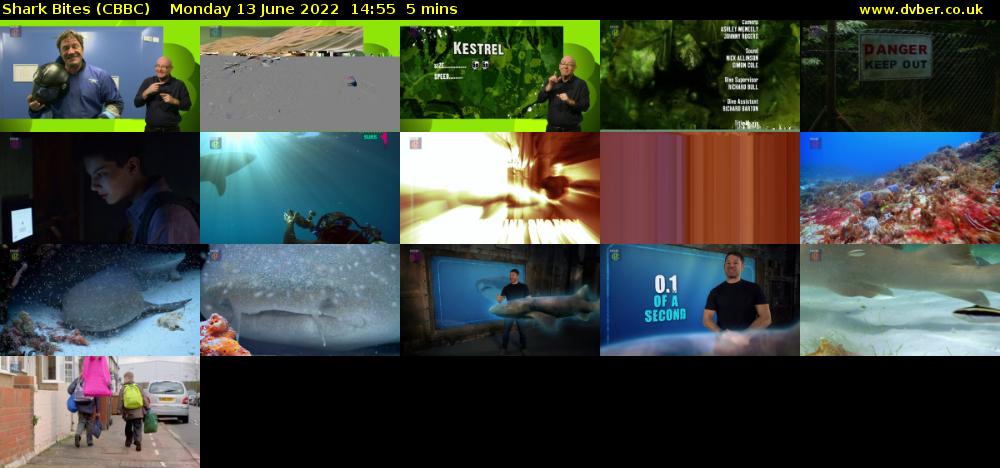 Shark Bites (CBBC) Monday 13 June 2022 14:55 - 15:00