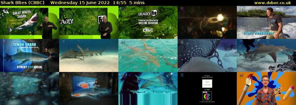 Shark Bites (CBBC) Wednesday 15 June 2022 14:55 - 15:00