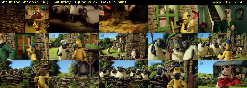 Shaun the Sheep (CBBC) Saturday 11 June 2022 14:20 - 14:25