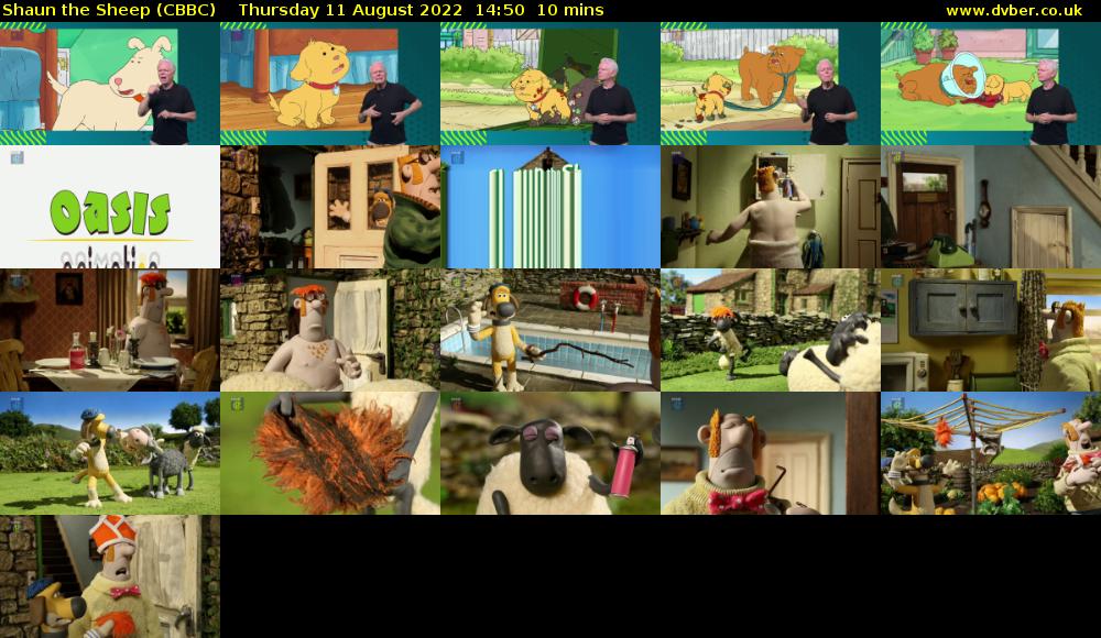 Shaun the Sheep (CBBC) Thursday 11 August 2022 14:50 - 15:00