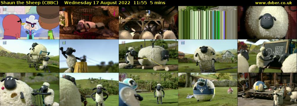 Shaun the Sheep (CBBC) Wednesday 17 August 2022 11:55 - 12:00