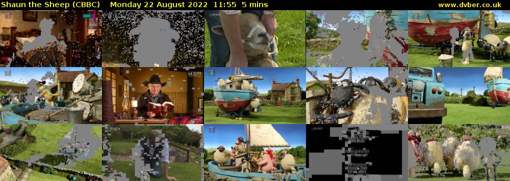 Shaun the Sheep (CBBC) Monday 22 August 2022 11:55 - 12:00