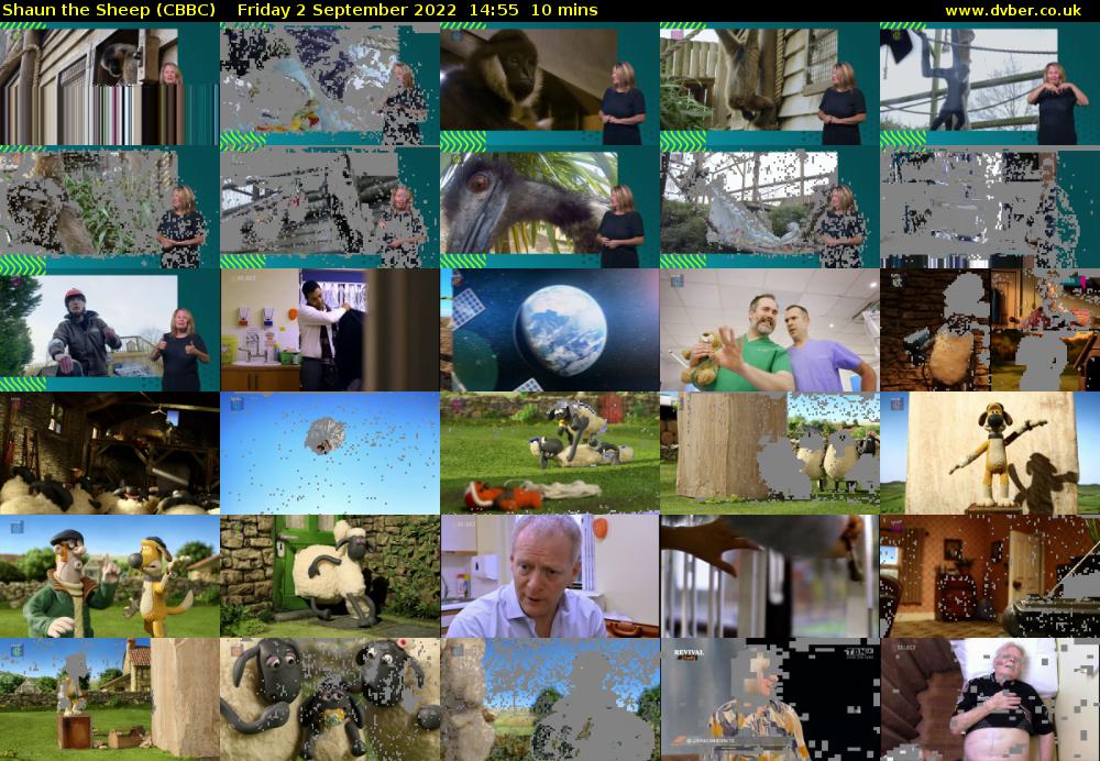 Shaun the Sheep (CBBC) Friday 2 September 2022 14:55 - 15:05