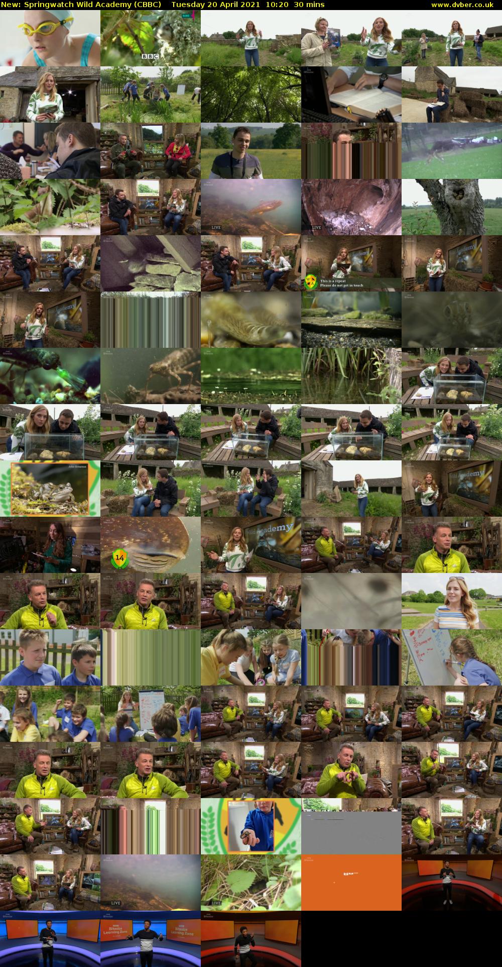 Springwatch Wild Academy (CBBC) Tuesday 20 April 2021 10:20 - 10:50