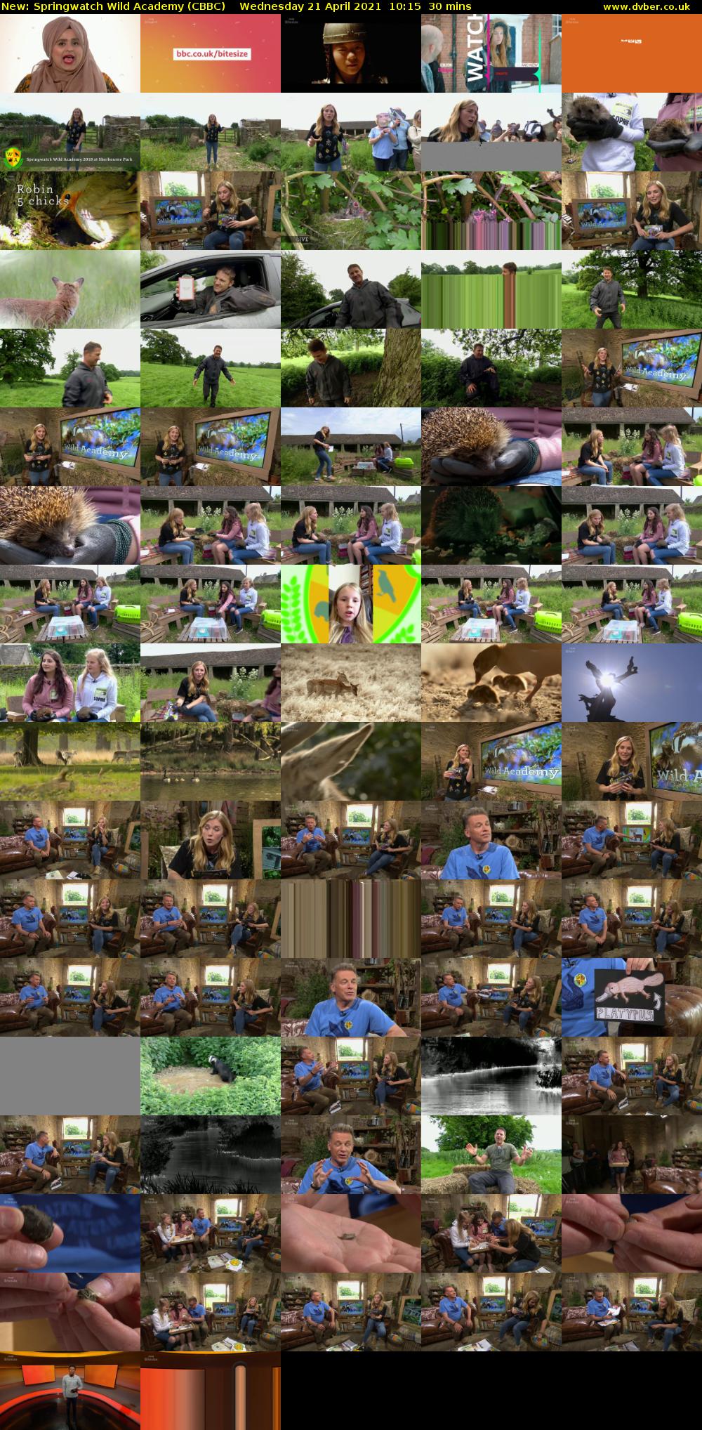 Springwatch Wild Academy (CBBC) Wednesday 21 April 2021 10:15 - 10:45