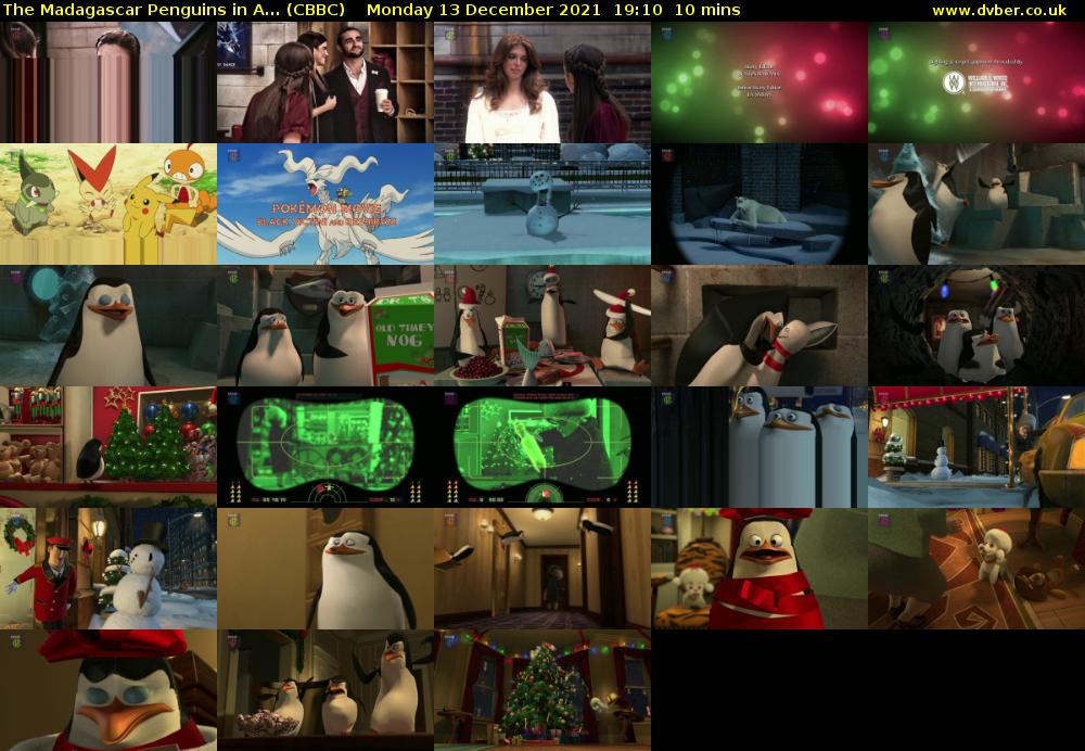 The Madagascar Penguins in A... (CBBC) Monday 13 December 2021 19:10 - 19:20