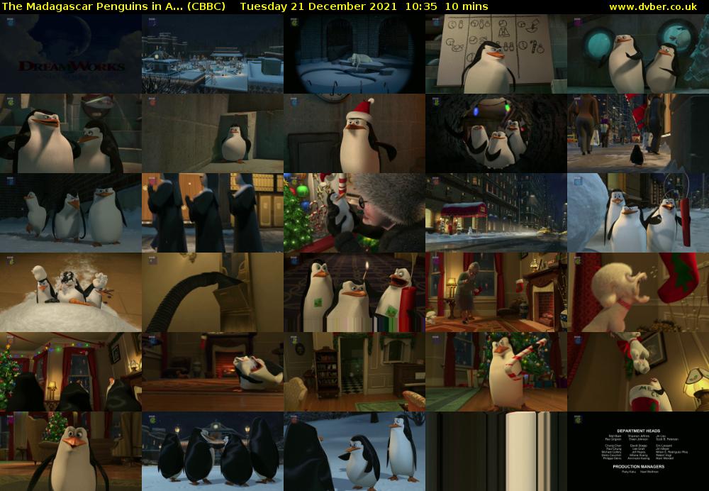 The Madagascar Penguins in A... (CBBC) Tuesday 21 December 2021 10:35 - 10:45