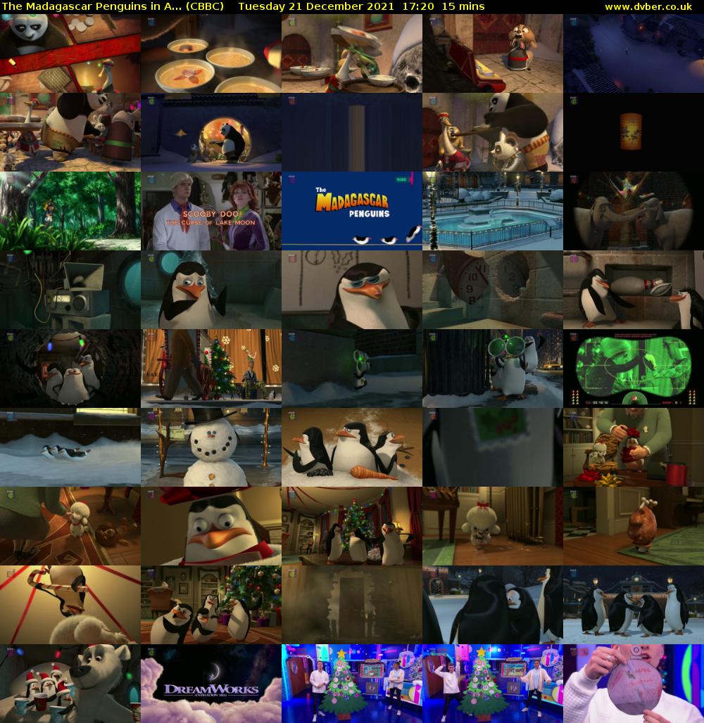 The Madagascar Penguins in A... (CBBC) Tuesday 21 December 2021 17:20 - 17:35