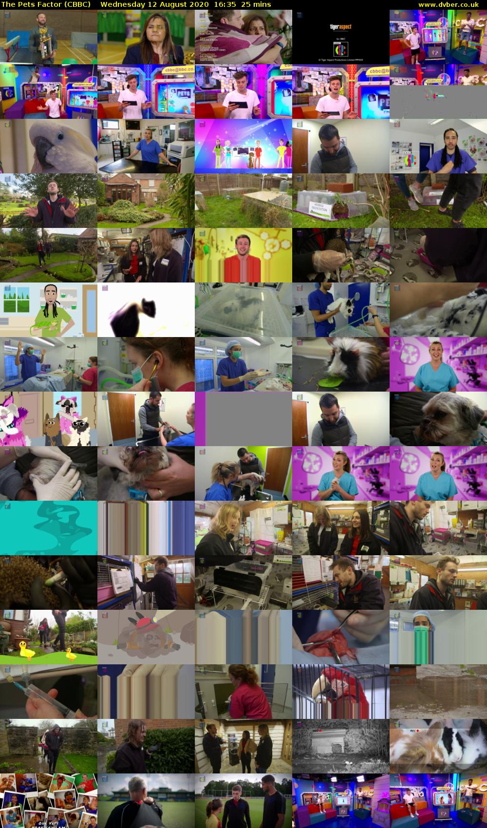 The Pets Factor (CBBC) Wednesday 12 August 2020 16:35 - 17:00