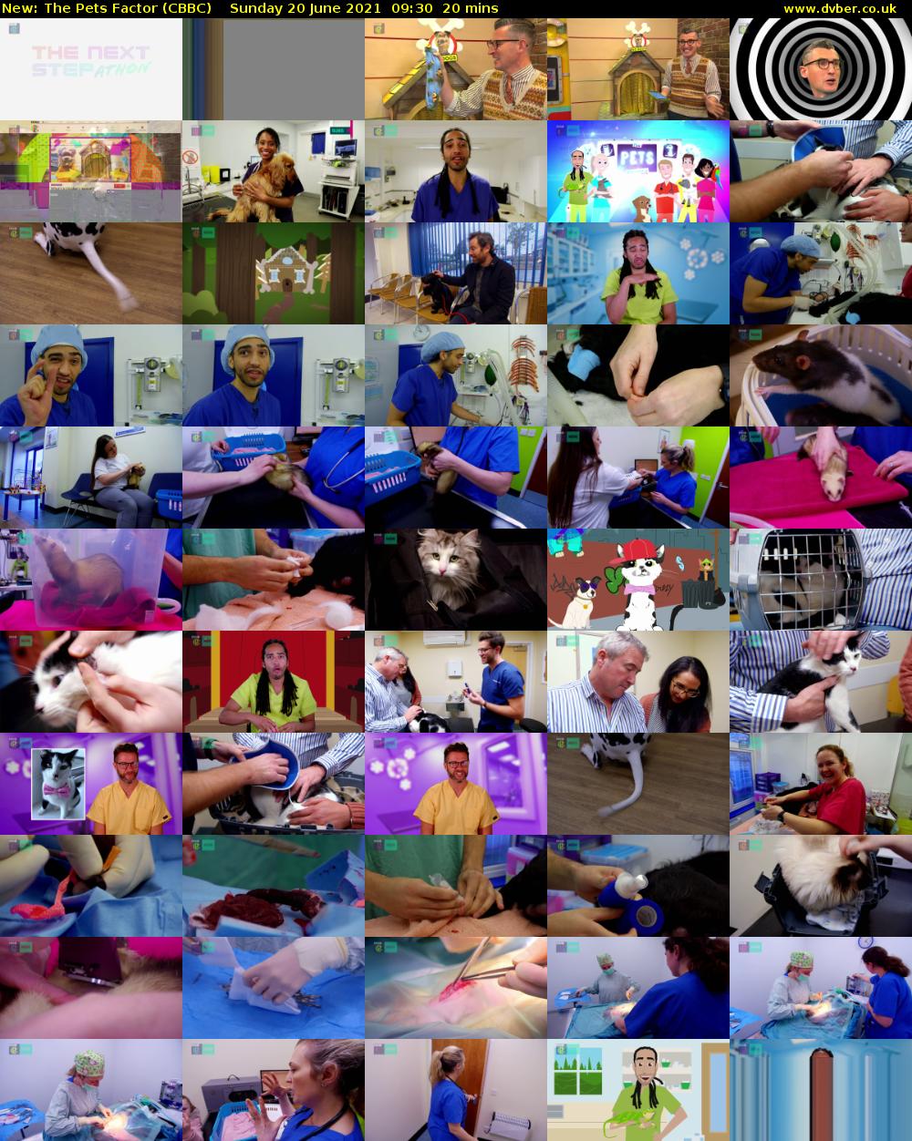 The Pets Factor (CBBC) Sunday 20 June 2021 09:30 - 09:50