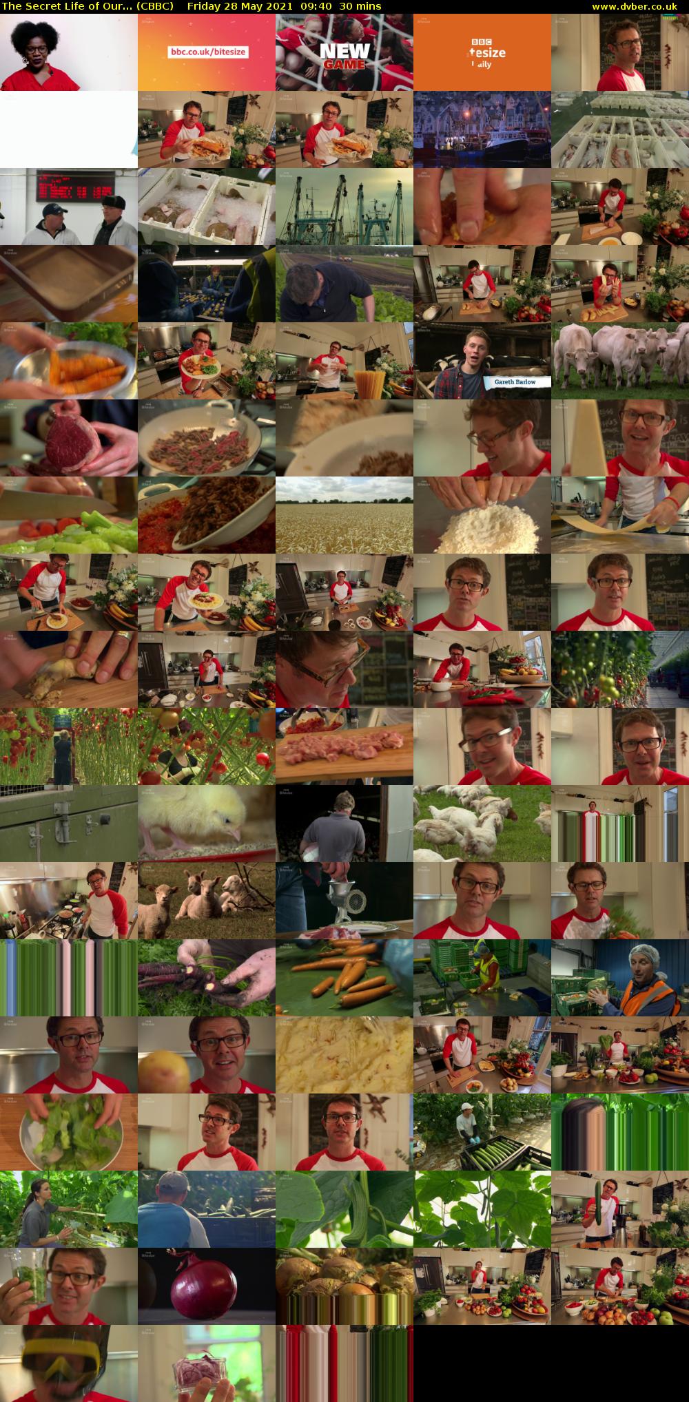 The Secret Life of Our... (CBBC) Friday 28 May 2021 09:40 - 10:10