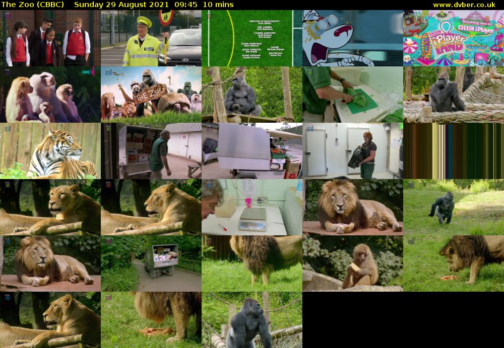 The Zoo (CBBC) Sunday 29 August 2021 09:45 - 09:55