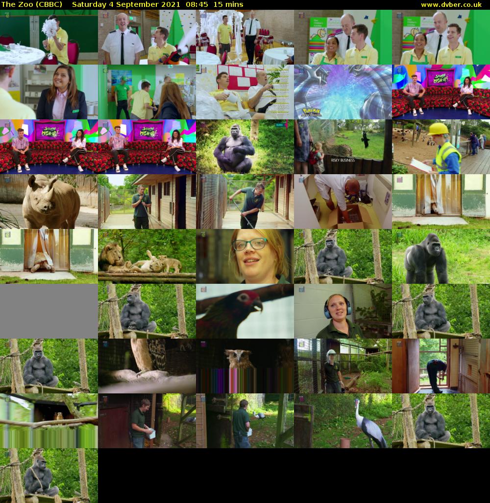 The Zoo (CBBC) Saturday 4 September 2021 08:45 - 09:00