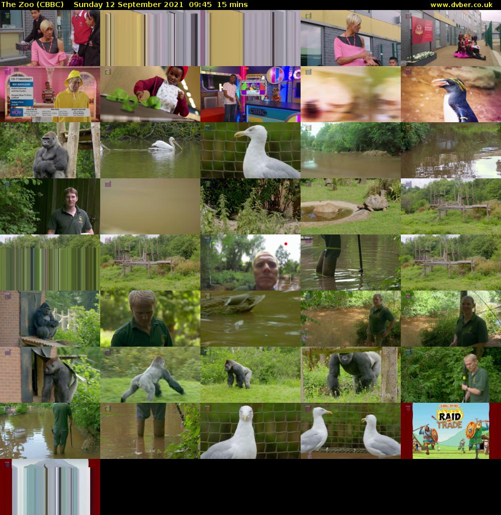 The Zoo (CBBC) Sunday 12 September 2021 09:45 - 10:00