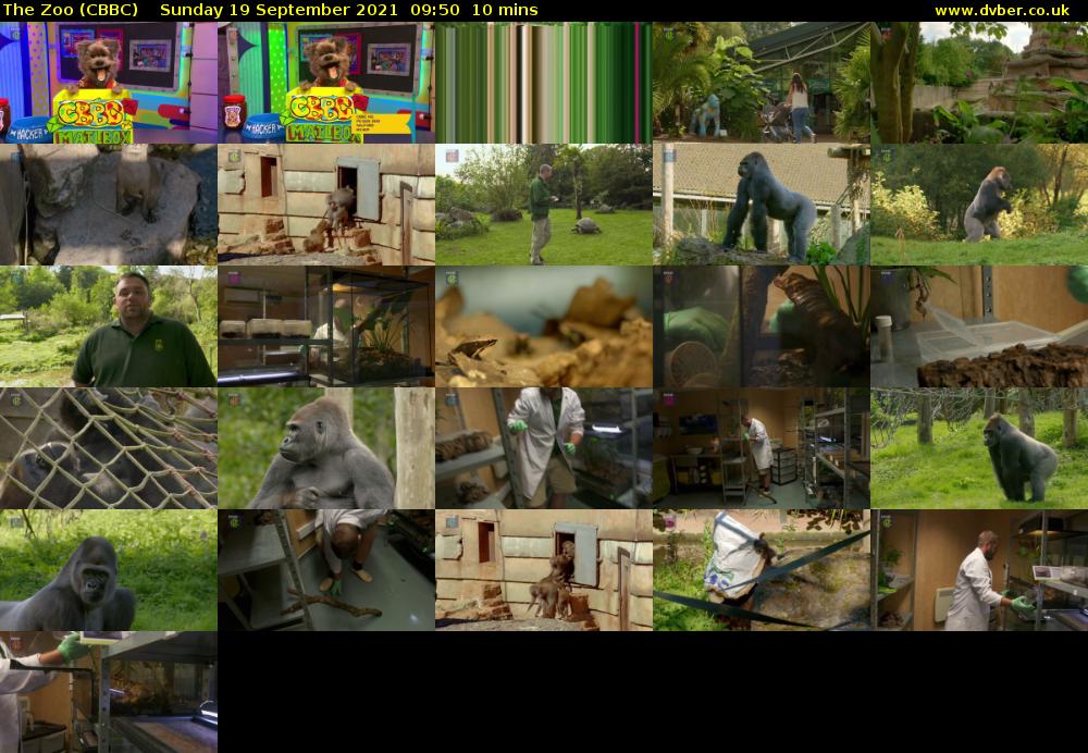 The Zoo (CBBC) Sunday 19 September 2021 09:50 - 10:00