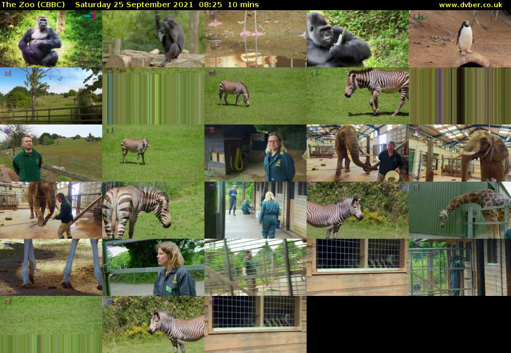 The Zoo (CBBC) Saturday 25 September 2021 08:25 - 08:35