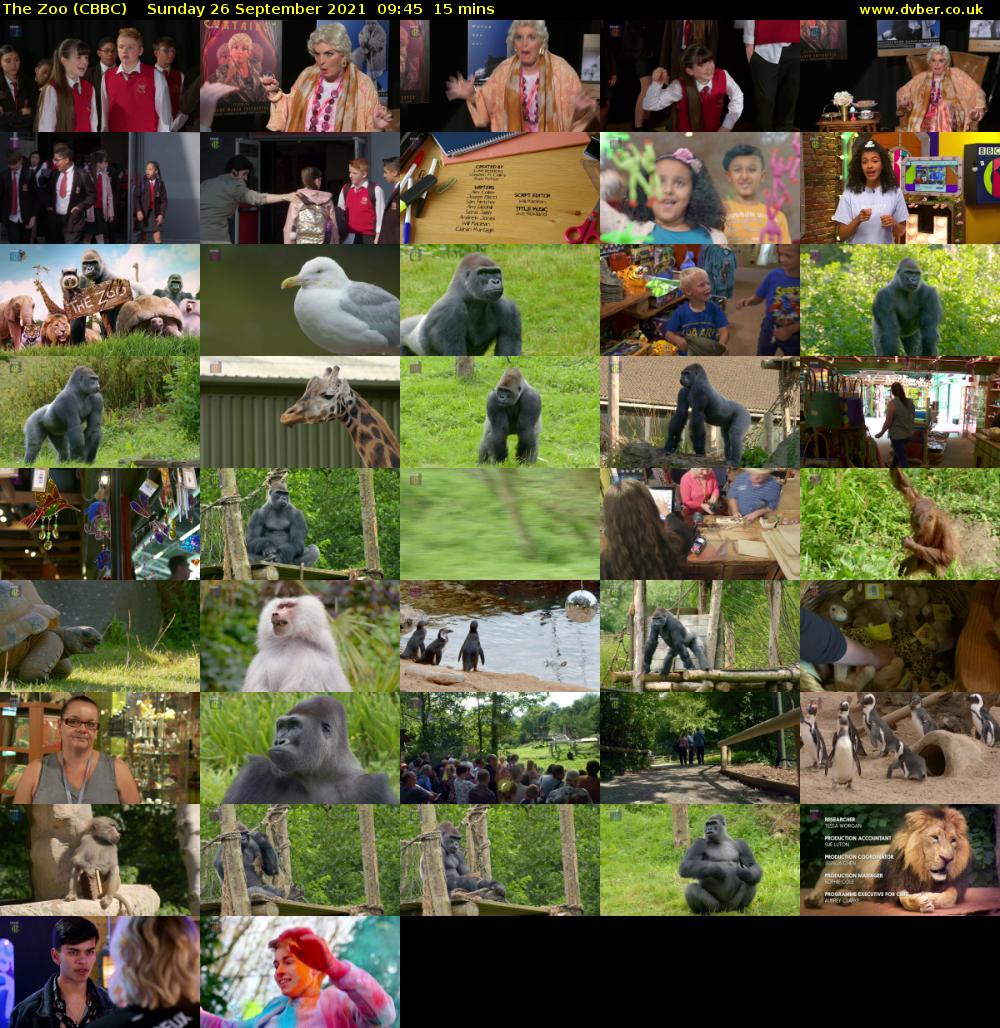 The Zoo (CBBC) Sunday 26 September 2021 09:45 - 10:00