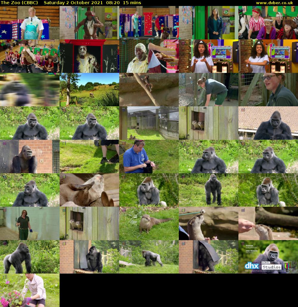 The Zoo (CBBC) Saturday 2 October 2021 08:20 - 08:35