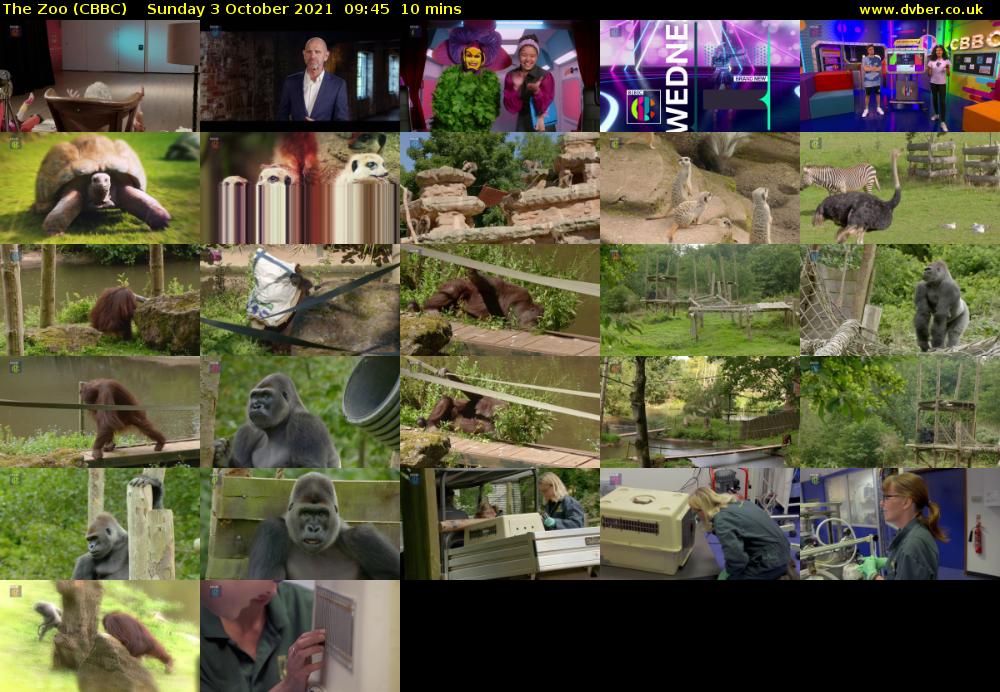 The Zoo (CBBC) Sunday 3 October 2021 09:45 - 09:55