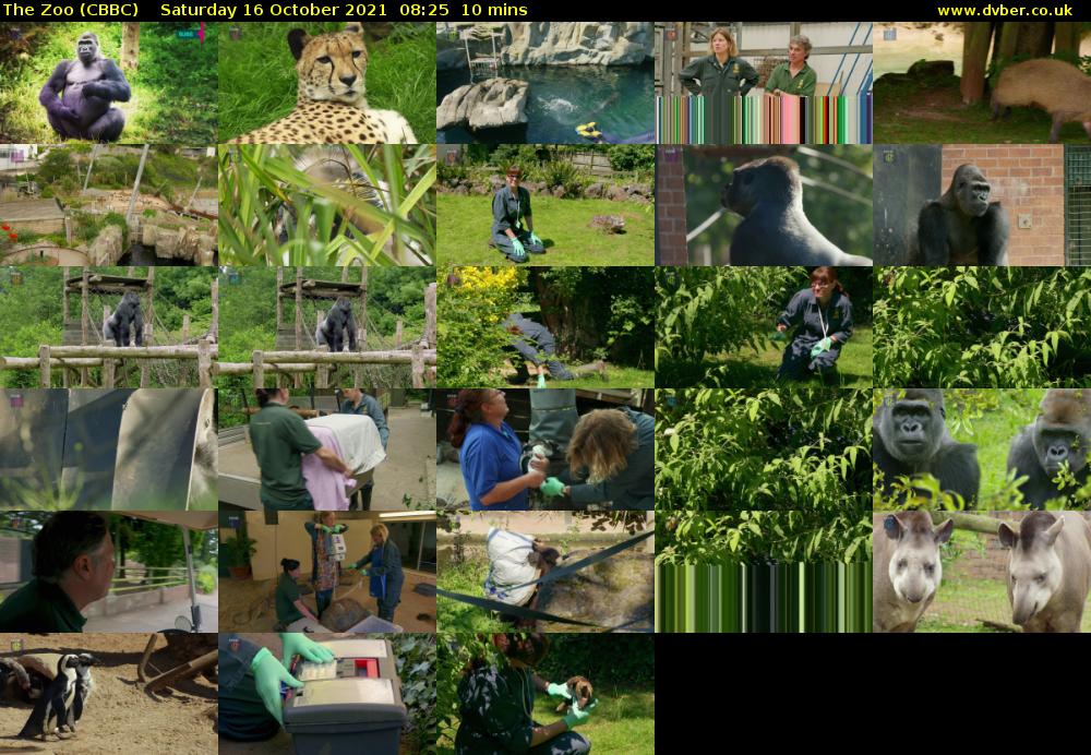 The Zoo (CBBC) Saturday 16 October 2021 08:25 - 08:35