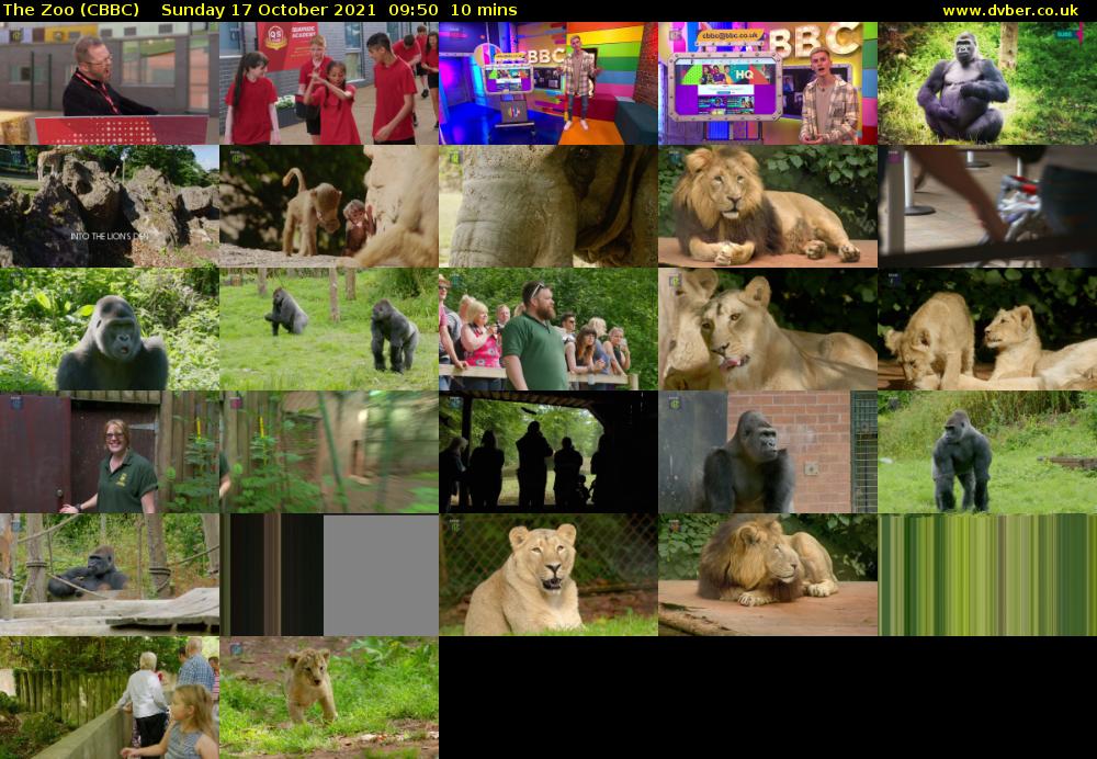 The Zoo (CBBC) Sunday 17 October 2021 09:50 - 10:00