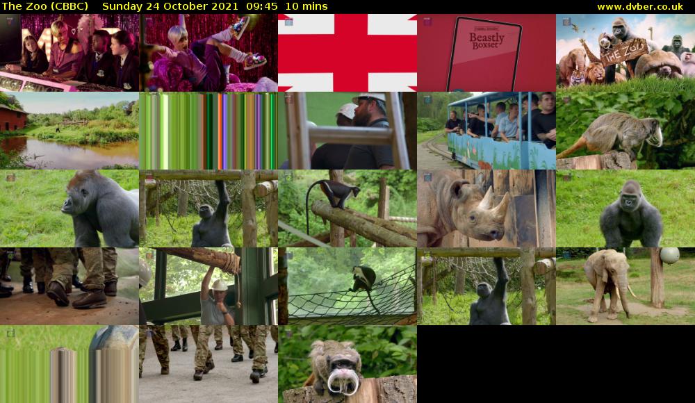 The Zoo (CBBC) Sunday 24 October 2021 09:45 - 09:55